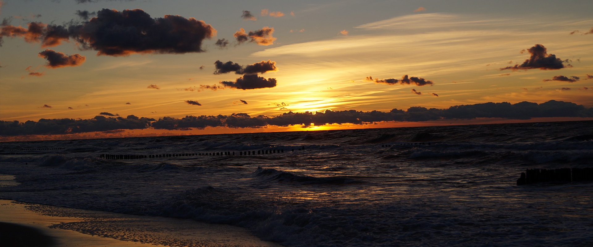 Lawendowy Port Dąbki - komfortowe domki wypoczynkowe w otoczeniu nadmorskiej zieleni